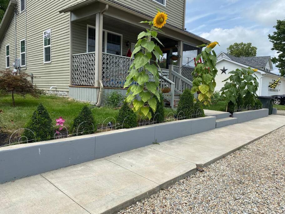Solar Roof, Eco-Friendly Home Baltimore Eksteriør bilde